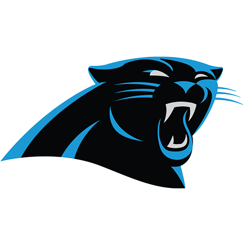 (image for) Carolina Panthers 2012-Pres Primary Logo iron on heat transfer - Click Image to Close